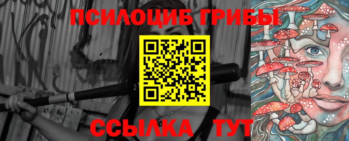 Нижний Тагил  купить   Вход с VPN  Псилоцибиновые грибы MAGIC MUSHROOMS 